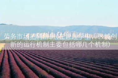 劳务市场招聘信息(在管理学中，区域创新的运行机制主要包括哪几个机制)