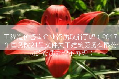 工程造价咨询企业资质取消了吗（2017年国务院21号文件关于建筑劳务有限公司的资质办理不办理）