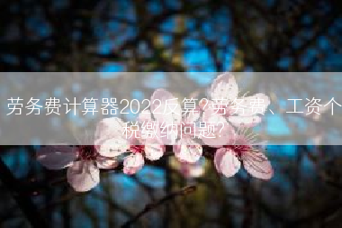 劳务费计算器2022反算?劳务费、工资个税缴纳问题?