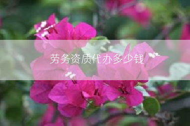 劳务资质代办多少钱