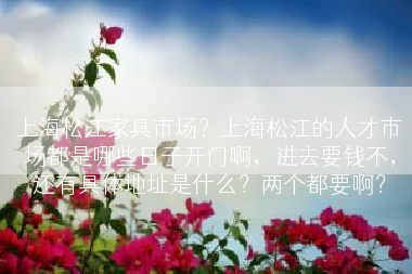上海松江家具市场？上海松江的人才市场都是哪些日子开门啊，进去要钱不，还有具体地址是什么？两个都要啊？