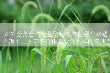 对外劳务合作经营资格核准在哪个网站办理（出国劳务合作需要什么样的资质？）