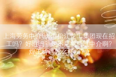 上海劳务中介(上海松江龙工集团现在招工吗？好进吗？是不是要通过中介啊？焊工待遇怎么样啊？)