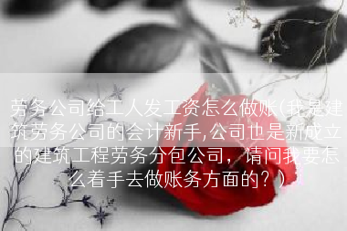劳务公司给工人发工资怎么做账(我是建筑劳务公司的会计新手,公司也是新成立的建筑工程劳务分包公司，请问我要怎么着手去做账务方面的？)