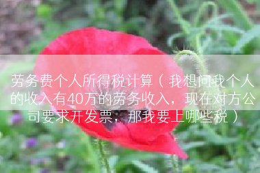 劳务费个人所得税计算（我想问我个人的收入有40万的劳务收入，现在对方公司要求开发票，那我要上哪些税）