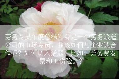 劳务专员年度总结？我是一个劳务派遣公司的市场专员，我该如何与企业谈合作呢？如何切入话题、比如：劳务费发票和工伤险。？