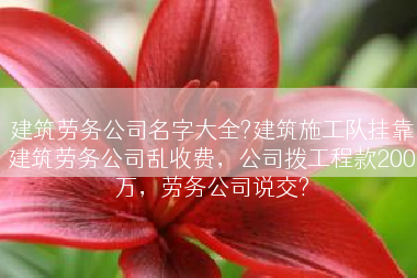 建筑劳务公司名字大全?建筑施工队挂靠建筑劳务公司乱收费，公司拨工程款200万，劳务公司说交?
