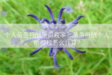 个人劳务报酬所得税率？劳务报酬个人所得税怎么计算？