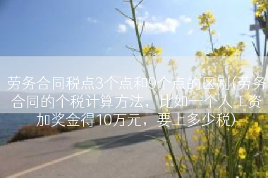 劳务合同税点3个点和9个点的区别(劳务合同的个税计算方法，比如一个人工资加奖金得10万元，要上多少税)