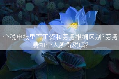 个税申报里面工资和劳务报酬区别?劳务费扣个人所得税吗?