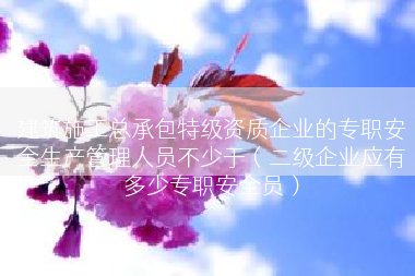 建筑施工总承包特级资质企业的专职安全生产管理人员不少于（二级企业应有多少专职安全员）