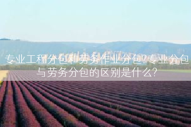 专业工程分包和劳务作业分包?专业分包与劳务分包的区别是什么?