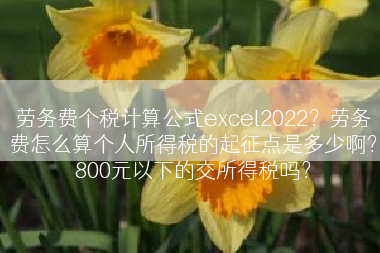 劳务费个税计算公式excel2022？劳务费怎么算个人所得税的起征点是多少啊？800元以下的交所得税吗？