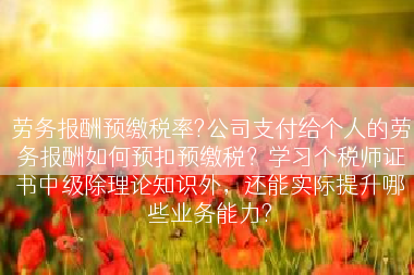 劳务报酬预缴税率?公司支付给个人的劳务报酬如何预扣预缴税？学习个税师证书中级除理论知识外，还能实际提升哪些业务能力?
