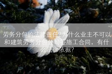 劳务分包的法律责任?为什么业主不可以和建筑劳务分包公司签施工合同，有什么法律依据?
