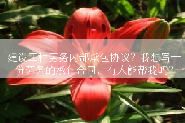 建设工程劳务内部承包协议？我想写一份劳务的承包合同，有人能帮我吗？