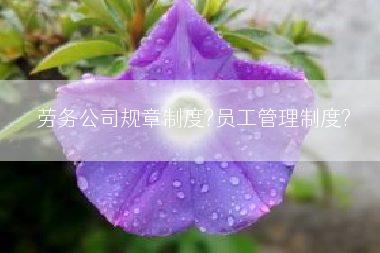 劳务公司规章制度?员工管理制度?