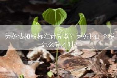 劳务费扣税标准计算器？劳务报酬个税怎么算才对？