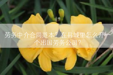 劳务中介合同范本？在县城里怎么开一个出国劳务公司？