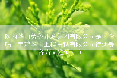 陕西华山劳务开发集团有限公司是国企吗（宝鸡华山工程车辆有限公司待遇等各方面如何？）