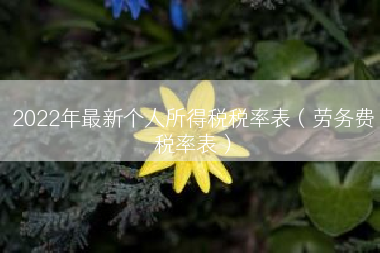 2022年最新个人所得税税率表（劳务费税率表）