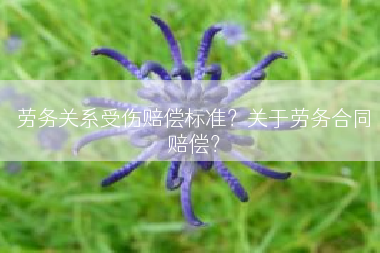 劳务关系受伤赔偿标准？关于劳务合同赔偿？