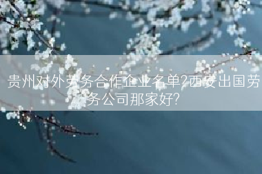 贵州对外劳务合作企业名单?西安出国劳务公司那家好?