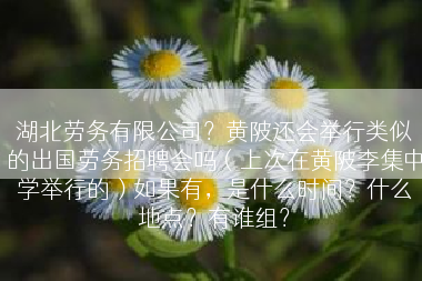 湖北劳务有限公司？黄陂还会举行类似的出国劳务招聘会吗（上次在黄陂李集中学举行的）如果有，是什么时间？什么地点？有谁组？