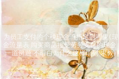 为员工支付的个税现金流指定到哪里(现金流量表 购买商品接受劳务支付的现金 一道例题 不明白为什么这样填列 求教)