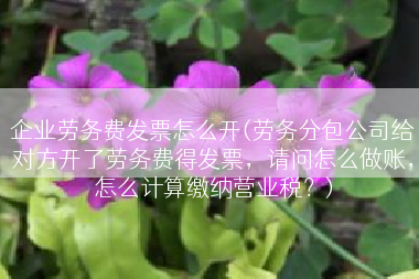 企业劳务费发票怎么开(劳务分包公司给对方开了劳务费得发票，请问怎么做账，怎么计算缴纳营业税？)