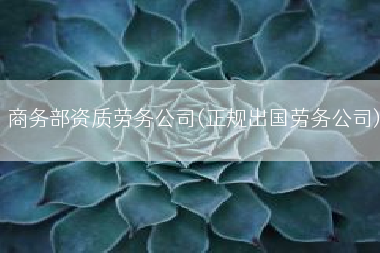 商务部资质劳务公司(正规出国劳务公司)