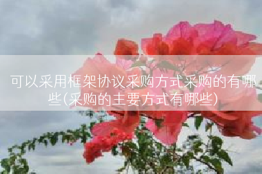可以采用框架协议采购方式采购的有哪些(采购的主要方式有哪些)