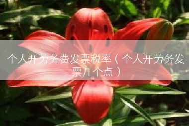 个人开劳务费发票税率（个人开劳务发票几个点）