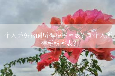 个人劳务报酬所得税税率表？新个人所得税税率表？