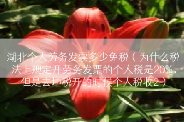 湖北个人劳务发票多少免税（为什么税法上规定开劳务发票的个人税是20%，但是去地税开的时候个人税收2）