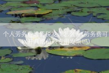 个人劳务费增值税发票怎么开(劳务费可以开具增值税专用发票吗)