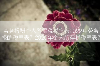 劳务报酬个人所得税税率表2022年劳务报酬税率表？2020年个人所得税税率表？