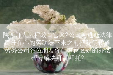 陕西师大远程教育官网?公司为逃避法律责任在心的劳动法下来之前把我们转道劳务公司各位朋友你们有什么好的办法帮我解决拜托拜托?