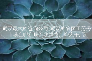 武汉最大的咨询公司(武汉的农民工劳务市场在哪有啊？我想找几个人干活)