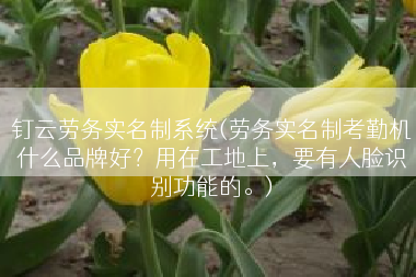 钉云劳务实名制系统(劳务实名制考勤机什么品牌好？用在工地上，要有人脸识别功能的。)