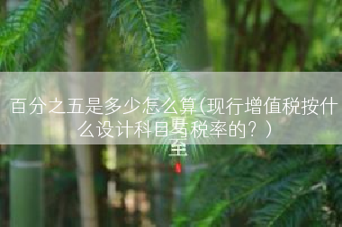 百分之五是多少怎么算(现行增值税按什么设计科目与税率的？)