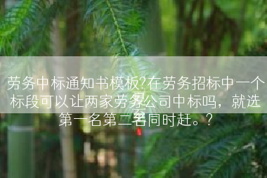 劳务中标通知书模板?在劳务招标中一个标段可以让两家劳务公司中标吗，就选第一名第二名同时赶。?