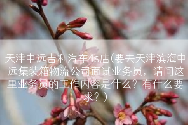天津中远吉利汽车4s店(要去天津滨海中远集装箱物流公司面试业务员，请问这里业务员的工作内容是什么？有什么要求？)