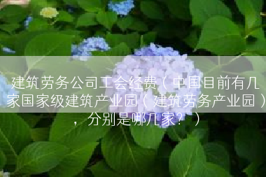 建筑劳务公司工会经费（中国目前有几家国家级建筑产业园（建筑劳务产业园），分别是哪几家？）