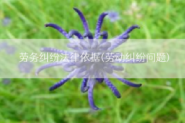 劳务纠纷法律依据(劳动纠纷问题)