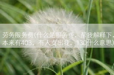 劳务服务费(什么是服务费，帮我解释下，本来有403，有人支出我，130什么意思)