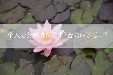 个人劳务费协议范本?合同应该怎写?