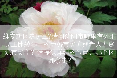 雄安新区农民工?请问沈阳市哪里有外地民工比较集中的劳务市场（或者人力资源市场）？请提供详细的位置，哪个区哪条街?