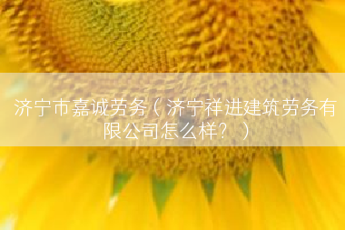 济宁市嘉诚劳务（济宁祥进建筑劳务有限公司怎么样？）