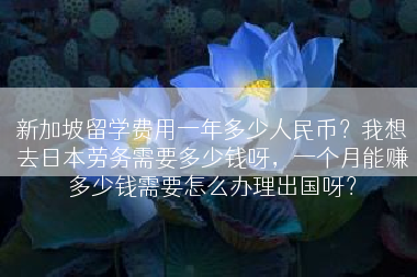 新加坡留学费用一年多少人民币？我想去日本劳务需要多少钱呀，一个月能赚多少钱需要怎么办理出国呀？